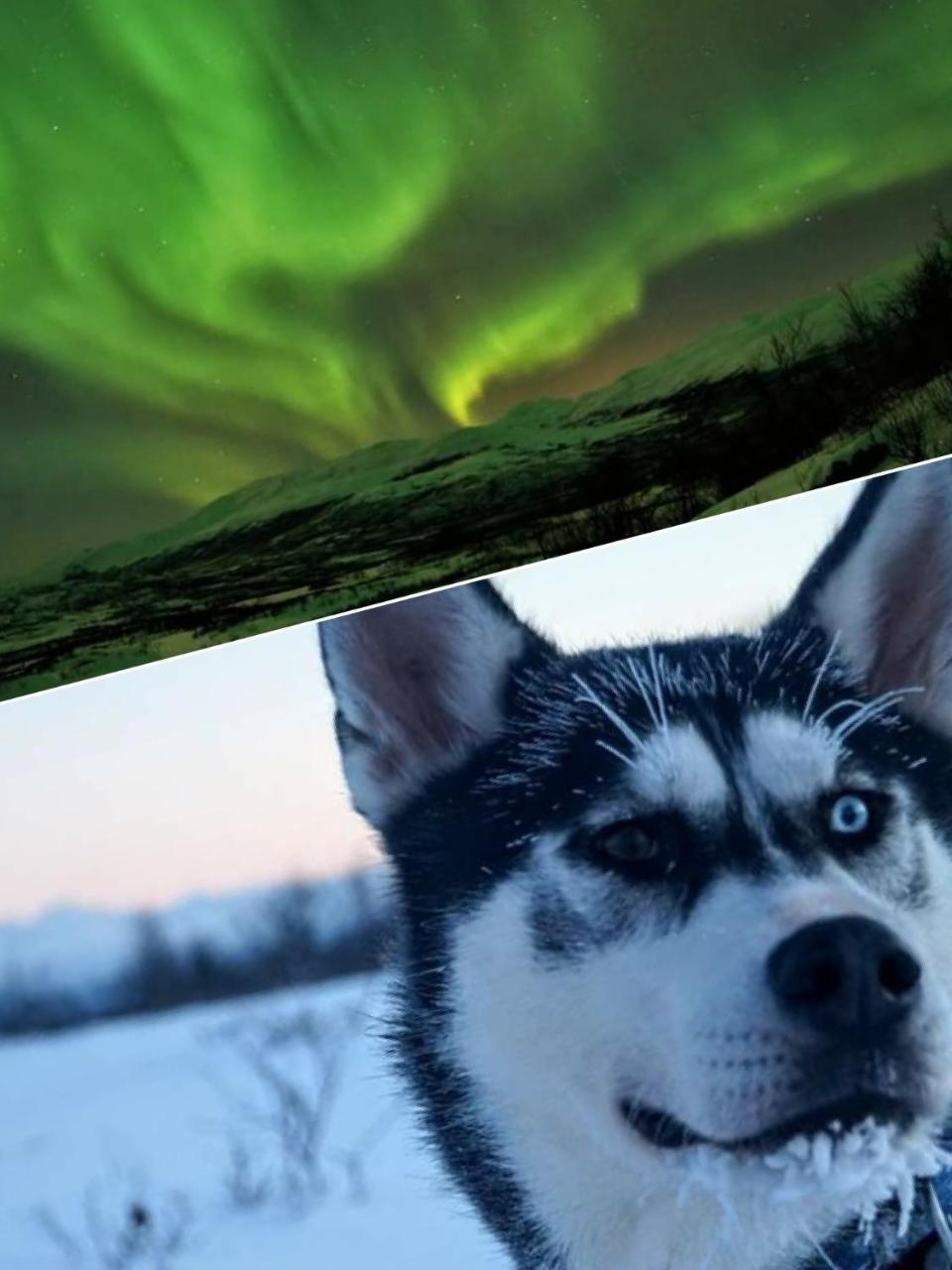 Abisko Net Hostel & Huskies Εξωτερικό φωτογραφία